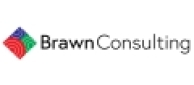 BRAWN CONSULTING
